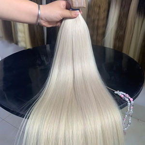 Bande d'extension de cheveux vietnamiens bruts spéciaux en kératine droite couleur claire vive double dessiné - Product Image 1