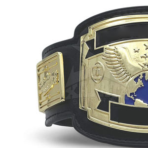 2025 nouvelle arrivée ceinture de lutte en cuir léger de haute qualité OEM directement du fabricant d'usine équipement d'arts martiaux - Product Image 4