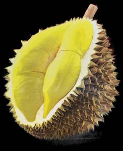 100% poudre de durian lyophilisée naturelle de qualité alimentaire fabriquée en Thaïlande - Product Image 2