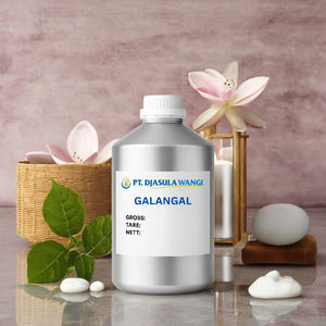 Huile Essentielle de Galangal 100% Pure 5kg Vente en Gros Approvisionnement Direct du Fabricant Vietnamien OEM & Marque Privée Disponibles - Product Image 2