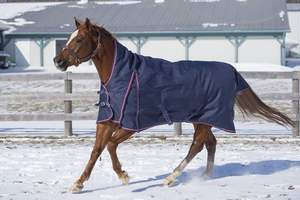 ผลิตภัณฑ์จากม้าแคนาดา-160gm เติม-กองทัพเรือที่มีการผูกสารพัน - Product Image 3