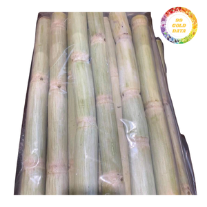 Palitos de Caña de Azúcar Congelados IQF a Granel, Duraderos, con Sabor Natural y Alto Rendimiento de Jugo para Almacenamiento Prolongado - Product Image 2