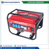 Fabricant leader de générateurs à essence portables miniatures haute performance 50 Hz 2,5 KVA