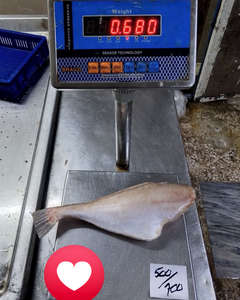 Croaker jaune surgelé IQF avec une durée de conservation de 12 mois Disponible pour la vente en gros en vrac aux restaurants et à l'industrie alimentaire - Product Image 3