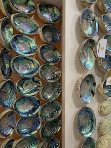 Coquilles d'ormeau utilisées pour l'emballage cadeau personnalisé Les coquilles d'ormeau apportent une présentation d'inspiration marine - Product Image 5