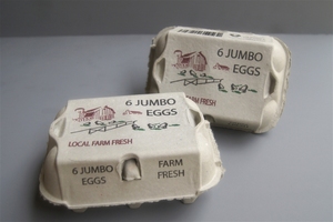 Huevos Frescos de Granja para Consumo y Incubación - Larga Vida Útil, Origen Europeo, Precios - Product Image 6
