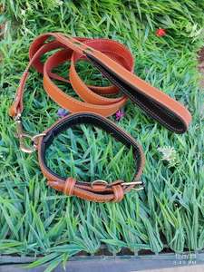 Correa de perro de moda resistente y fuerte de plomo de cuerda de calidad superior con asa de cuero Bogs Cats cinturones de cuero ajustables fáciles - Product Image 3