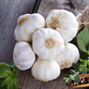 Ail naturel biologique frais en vrac 2025 nouvelle culture | Ail blanc de haute qualité pour l'exportation et l'approvisionnement en gros - Product Image 1