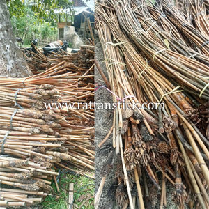 Mazos de Raíz de Ratán para Palo de Polo, Mazos de Polo, Mazos de Raíz - Product Image 5