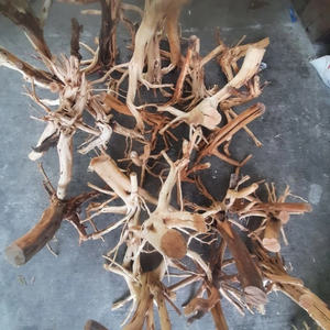 Decoración de araña de madera flotante natural para acuarios-Accesorio de pecera Premium para vida acuática, camarones, Betta y reptiles - Product Image 5