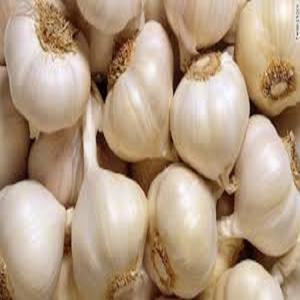 Premium Organic <b>Fresh</b> Peeled <b>Garlic</b> Supplier <b>Fresh</b> <b>Garlic</b> Bulk Wholesale Ajo Fresco Cheap White <b>Garlic</b> China Supplier for Export - Product Image 3