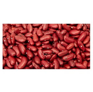 Haricots rouges foncés biologiques en vrac, forme longue - Product Image 1