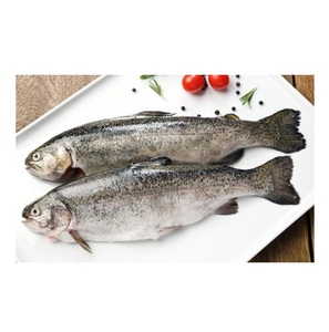 ปลาเทราท์แอตแลนติกคุณภาพสูงแช่แข็งสดใหม่ มีจำหน่ายในราคาประหยัด - Product Image 1