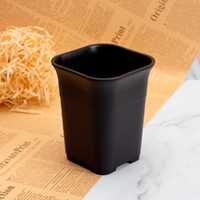 Layanan OEM Pavico Tersedia Pot Tanaman Mini Plastik Modern yang Dapat Disesuaikan Grosir Ramah Lingkungan Dekorasi Lantai Berkebun Rumah