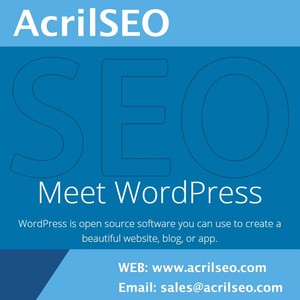 Sri Lanka AcrilSEO özel WordPress uygun fiyatlı profesyonel SEO uzmanlarında SEO dostu WordPress <span class=keywords><strong>Web</strong></span> geliştirme - Product Image 2