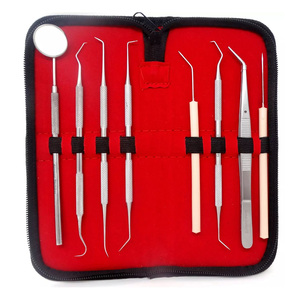 Kit de 8 outils professionnels pour dentiste, sonde de nettoyage buccal en acier inoxydable, outils de nettoyage dentaire, cure-dents dentaires - Product Image 1