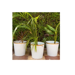 Maceta Decorativa de Aluminio para Sala de Estar, Color Dorado, Tamaño Pequeño, Diseño de Lujo, Recubrimiento en Polvo, Macetas Minimalistas Hechas a Mano para Jardín - Product Image 3