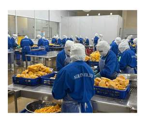 Morceaux tropicaux de mangue congelés à l'arôme doux-Dés de mangue congelés Vietnam selon des processus stricts Idéal pour les boissons d'été - Product Image 3