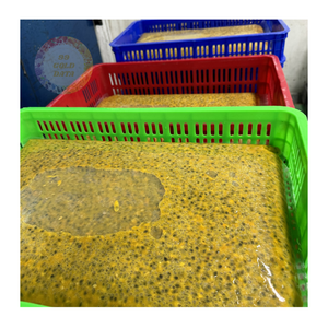 เสาวรสแช่แข็งที่บรรจุสดใหม่-ส่วนผสมชั้นนำสำหรับโรงงานอาหารและบริษัทเครื่องดื่มระดับโลก - Product Image 3