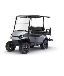 Batería eficiente de litio LED Cruiser 2024-HP disponible para la venta, 13,5, GO-Express S4, de lujo, - Product Image 1