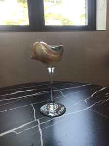 Copa de concha real para restaurantes temáticos marinos y decoración del hogar - Product Image 3