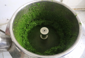 Pasta de hoja de yuca Vietnam | Excelente calidad, precio de fábrica, servicio de exportación profesional | Disponible para pedidos al por mayor a granel - Product Image 5