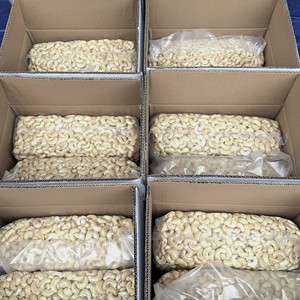 Usine vietnamienne Noix de cajou brutes Noix de cajou Vietnam Santigo Noix de cajou Client OEM ODM Exigence - Product Image 3