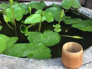 BEST SELLING Eco Friendly Bamboo <b>Cup</b> from Vietnam Reusable Durable and Lightweight for Hot or <b>Cold</b> Use - Product Image 3