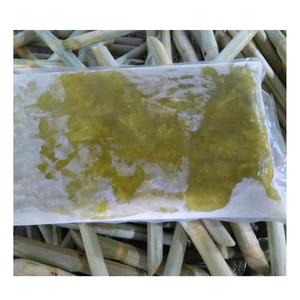 Bâtons de canne à sucre congelés Origine du Vietnam Canne douce naturelle fraîche pour les boissons et la transformation - Product Image 3