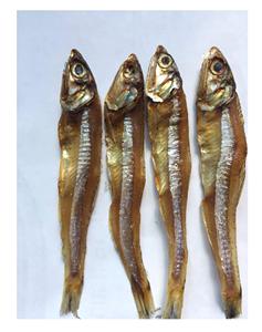 Anchois séchés du Vietnam/Anchois moyennement séché de la meilleure qualité/Prêt à exporter en vrac - Product Image 4