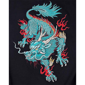 Vente flash : sweat à capuche pour homme en nylon/coton, luxueux, ajusté, en polaire, écologique, coupe-vent, respirant, imprimé et brodé par un designer - Product Image 2