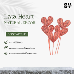 Arreglos de Flores Secas de Lata de Primera Calidad para Decoración del Hogar, Eventos, Bodas, Graduaciones - Botánicos Orgánicos - Product Image 3