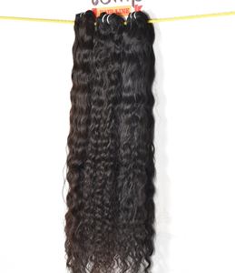 Vente en gros d'extensions de cheveux humains vierges indiennes non transformées traitement chimique tressage à cuticules alignées double boucle - Product Image 1