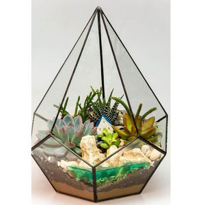 Terrarium polyvalent en verre transparent doré avec bordure en laiton, vente à chaud, vintage, nouvelle arrivage, prix de gros, décoration pour la maison et le mariage - Product Image 5