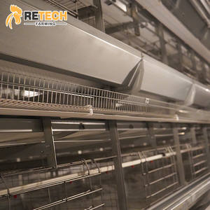 Buen DISEÑO <span class=keywords><strong>DE</strong></span> Nigeria, soluciones avícolas, <span class=keywords><strong>jaulas</strong></span> <span class=keywords><strong>de</strong></span> capa automáticas para 20000 gallinas ponedoras - Product Image 5