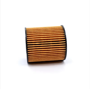 Filtre à huile Filtres à carburant 1109CL 1109.CL Utilisé pour Peugeot 307 2.0 Pièces moteur - Product Image 3