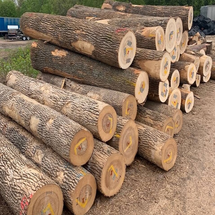 Achetez des bûches de bois d'ébène à vendre
