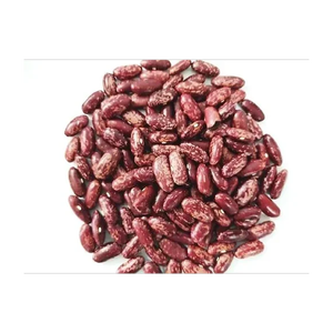 Haricot rouge congelé offert à prix réduit pour la production de conserves et de repas - Product Image 3