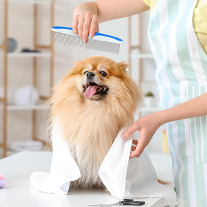 หวีสัตว์เลี้ยงแบบพรีเมี่ยมสำหรับสุนัขพันธุ์เล็กด้ามจับสบายมือด้ามจับตามหลักสรีรศาสตร์กันลื่นวัสดุ ABS สไตล์เรียบง่ายบรรจุภัณฑ์กล่องปลอดภัย - Product Image 6