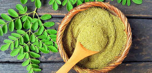 Suministro 2026: Polvo de Moringa del Delta del Mekong, Vietnam |   Exportación Directa de Fábrica - Product Image 5