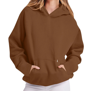 Plain Pullover Hoodies <b>Clothing</b> Manufacturers Custom Fleece Puff Graphic Logo Drop Shoulder Plus Loose Oversized Women's Hoodies - Product Image 5