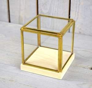 Terrario de vidrio geométrico con Base de madera de pino, caja de exhibición de vidrio y latón, cuboide, nuevo diseño y alta calidad, venta al por mayor - Product Image 6