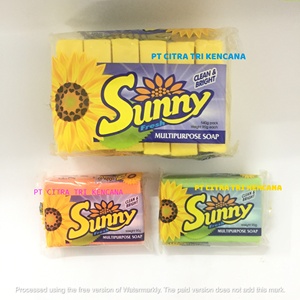 DETERGENTE PARA CUERPO DE DUCHA DE LAVADO BARRA DE LAVADERO JABÓN DETERGENTE LÍQUIDO 800 GRAMOS JABÓN MULTIUSOS Belo Horizonte BRASIL AMÉRICA DEL SUR - Product Image 3