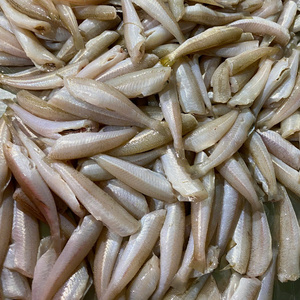 Suministro Directo Vietnam IQF Sillago Congelado Entero Sin Cabeza, Eviscerado y Desescamado, a Granel/Envasado al Vacío, 24 Meses de Vida Útil a -18°C - Product Image 3