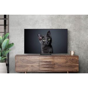 55-Inch 4K Smart <b>TV</b> <b>with</b> Slim Design 120Hz Refresh Rate LED <b>Backlight</b> HD Definition Black Cabinet for Hotels - Product Image 1
