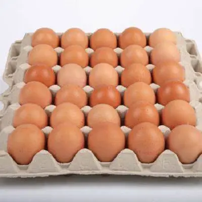 โต๊ะไก่แบบสดเกรดพรีเมี่ยมไข่ไก่สีน้ำตาลและสีขาว