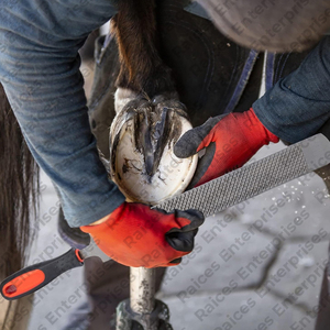Kit d'outils de maréchal-ferrant de la meilleure qualité avec emballage personnalisé Kit d'outils de maréchal-ferrant professionnel sur mesure - Product Image 5