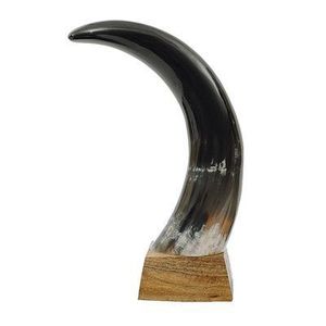 Corne longue décorative avec base en agate naturelle pour décoration murale et de table rustique - Product Image 5