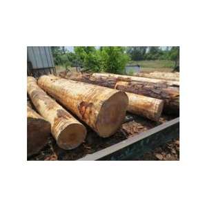 High Quality Kiln-Dried Pine Round <b>Logs</b> White Ash Kay and Teak Oak Saw <b>Logs</b> at Cheap Price High Quality Dried Timber - Product Image 1