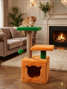 Griffoir pour chats Amistar Cheerful Orange de haute qualité, toutes tailles - Product Image 2